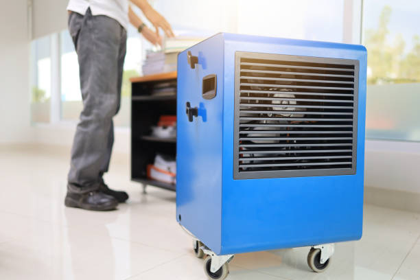 Best Mold-Related Health Consultation  in Castle Point, MO